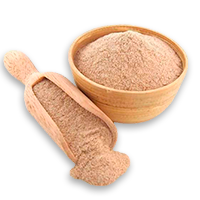 psyllium-1.png