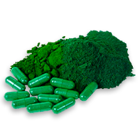 spirulina-1.png